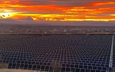 Electrocentrala Borzești: Primul Megawatt din Surse Fotovoltaice