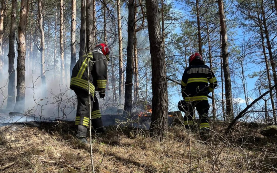 Incendiu de pădure la Târgu Ocna